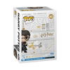Harry Potter - Harry with Sword & Fang Pop! Vinyl Figure (NYCC 22 Exclusive)