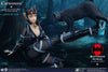 Batman - Catwoman Ninja Deluxe 1:6 Scale 12