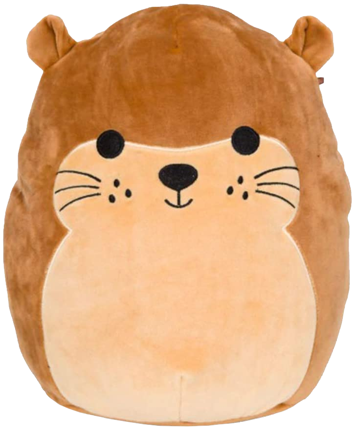 Squishmallows - Joanne the Sea Otter 12