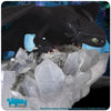 How to Train Your Dragon - Toothless on Light-Up Crystals Statue
