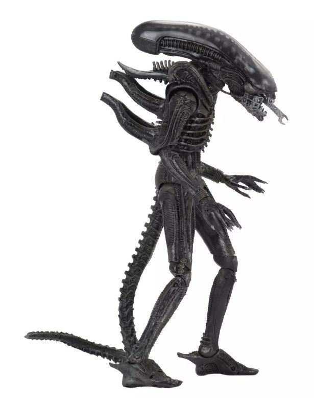 Alien - 40th Anniversary Series 03 Xenomorph (Regular) 7