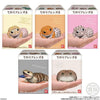 Te-Nori Friends - Reptiles Series 6 Mystery Figure (Single)