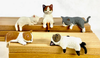 Cats Resting On The Edge Blind Box (Single)