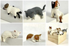 Cats Resting On The Edge Blind Box (Single)