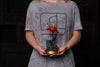 Flash Gordon - Flash Gordon Deluxe 1:10 Scale Statue