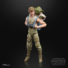 Star Wars: The Black Series - Luke Skywalker and Yoda (Jedi Training) Figure
