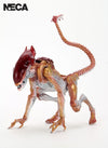 NECA: Aliens – Panther Alien Kenner Tribute 7″ Scale Action Figure