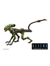 NECA: Alien’s Fireteam Elite – Burster 7″ Scale Action Figure