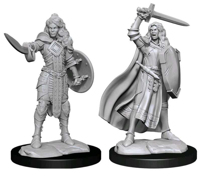 Pathfinder - Deep Cuts Unpainted Miniatures: Human Champion Female