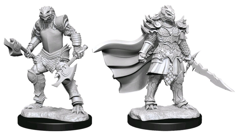 Dungeons & Dragons - Nolzurs Marvelous Unpainted Minis: Dragonborn Fighter Female
