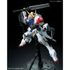 1/100 FULL MECHANICS BARBATOS LUPUS Model Kit