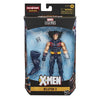 Marvel Legends Series: X-Men Age of Apocalypse Weapon X Action Figure