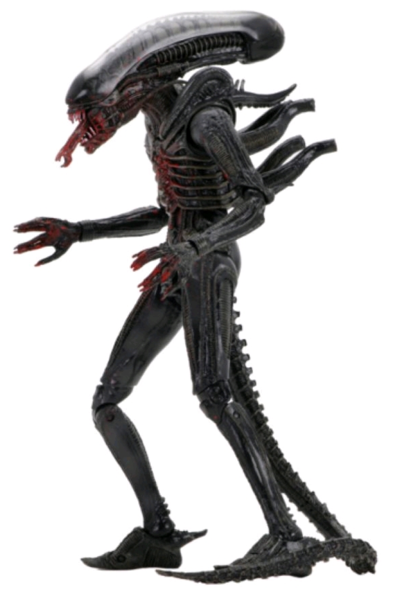 Alien - 40th Anniversary Series 02 Big Chap 7