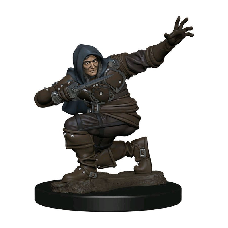 Pathfinder - Human Rogue Male Premium Figure