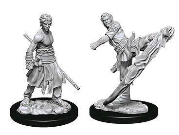 D&D Nolzurs Marvelous Unpainted Miniatures Male Half-Elf Monk