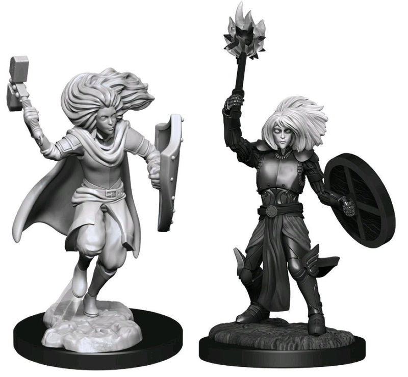 Dungeons & Dragons - Nolzur's Marvelous Unpainted Miniatures: Changeling Cleric Female
