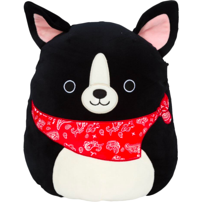Squishmallows - Teddy the Boston Terrier 7