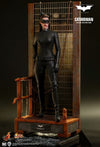 Batman: The Dark Knight Trilogy - Catwoman 1:6 Scale 12in Action Figure
