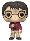 Harry Potter - Harry with Philosophers Stone 20th Anniversary Pop! Vinyl Figure