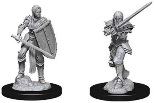 Dungeons & Dragons Nolzurs Marvelous Human Fighter Female