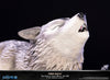 Dark Souls - The Great Grey Wolf Sif PVC Statue