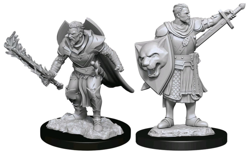 Pathfinder - Deep Cuts Unpainted Miniatures: Human Champion Male
