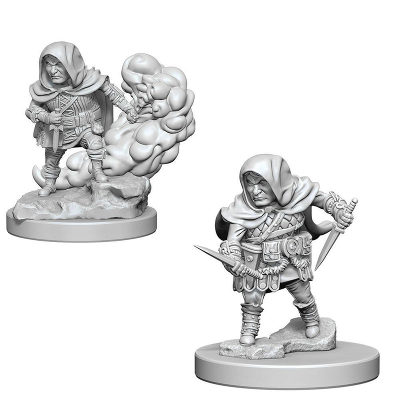 Dungeon's & Dragons Nolzurs Marvelous Halfling Male Rogue