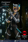 Batman - Catwoman Ninja Deluxe 1:6 Scale 12