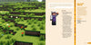 Minecraft The Crafters Kitchen: An Official Minecraft Cookbook for Young Chefs and Their Families