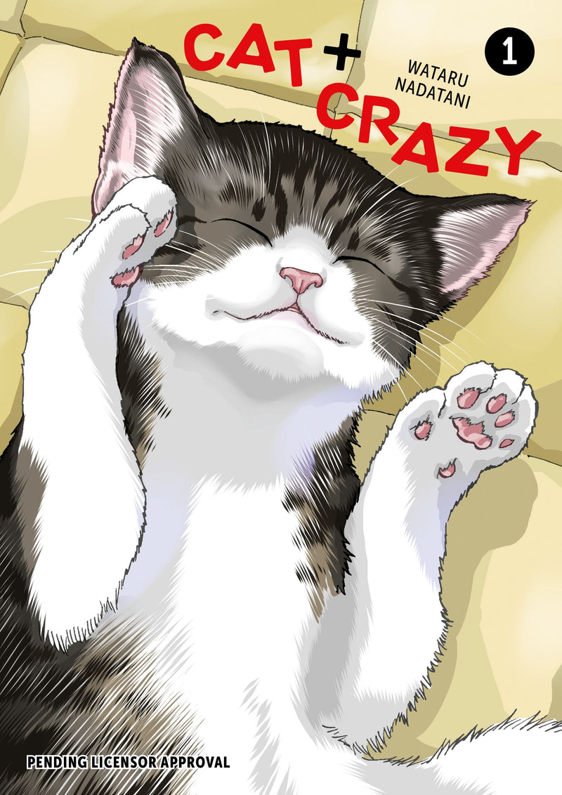 Cat + Crazy - Vol. 1