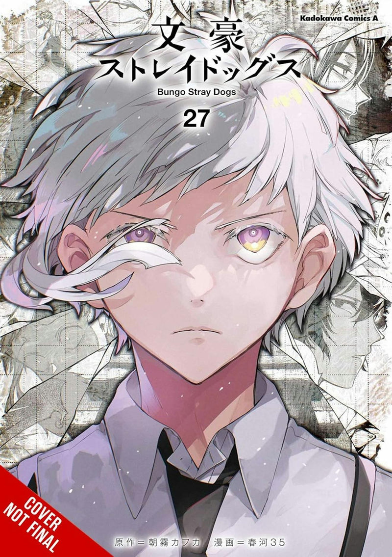 Bungo Stray Dogs - Vol. 27