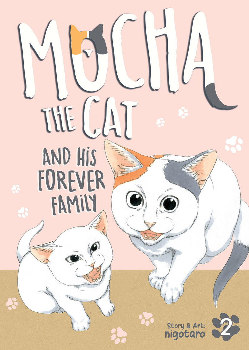 Mocha the Cat and His Forever Family - Vol. 2