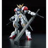 1/100 FULL MECHANICS BARBATOS LUPUS Model Kit