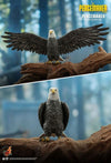 Peacemaker (TV) - Peacemaker 1:6 Scale Action Figure