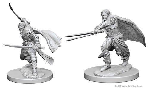 Dungeon's & Dragons Nolzurs Marvelous Elf Male Ranger