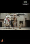 Star Wars: The Book of Boba Fett - R5-D4, Pit Droid, and BD-72 1:6 Scale Figure Set