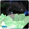 How to Train Your Dragon - Toothless on Light-Up Crystals Statue