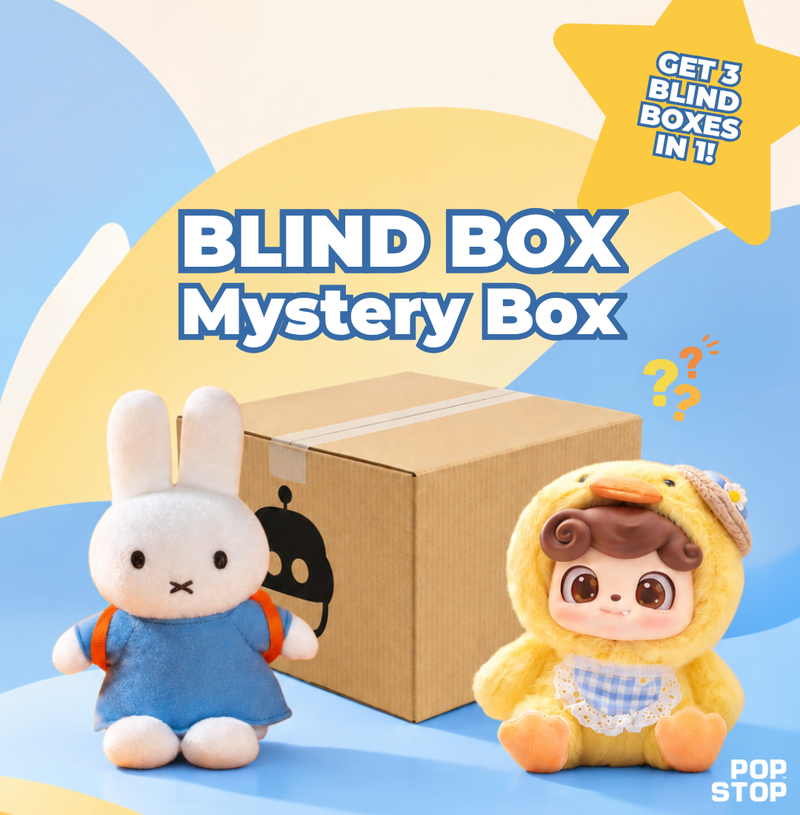 Mystery Bag Blind Box 3-Pack