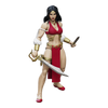 Conan - Belit the Pirate Queen Queen of the Black Coast Epic H.A.C.K.S. 1/12 Scale Action Figure