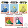 Te-Nori Friends Series 4 Blind Box Figure (Single)