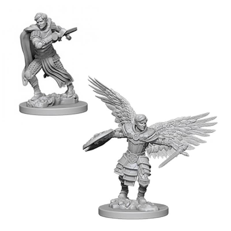 D&D Nolzurs Marvelous Miniatures Male Aasimar Fighter