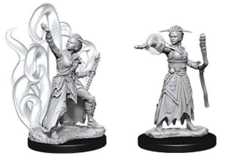 Dungeons & Dragons Nolzurs Marvelous Human Warlock Female