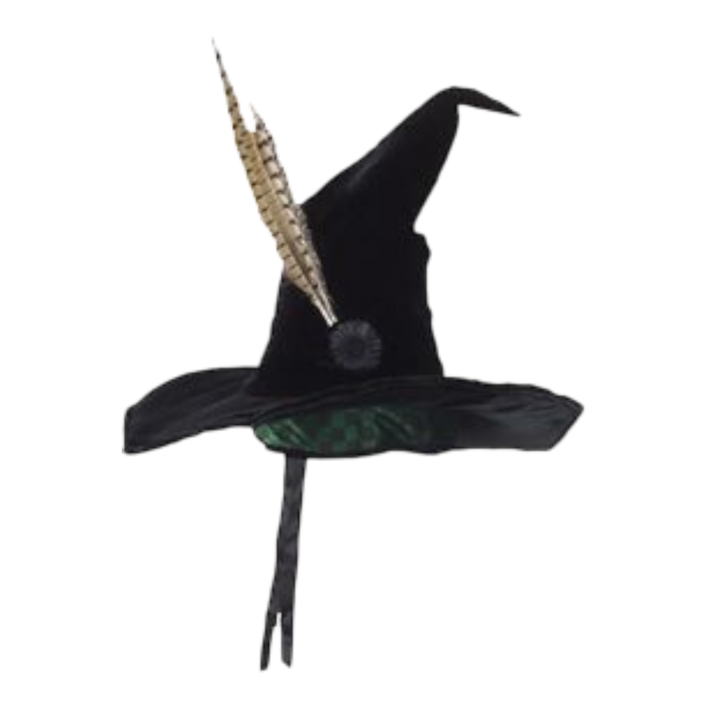 Harry Potter - Professor McGonagall Hat