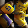 NBA - Lebron James (Lakers) Mini 6 Inch Vinyl Figure