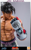 Tekken 5 - Jin Kazama 19 Inch Statue