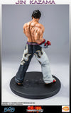 Tekken 5 - Jin Kazama 19 Inch Statue
