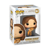 Harry Potter - Hermione with Crookshanks Pop! Vinyl Figure