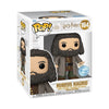 Harry Potter - Hagrid with Letter (US Exclusive) 6 Inch Pop! Vinyl Figure