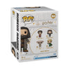 Harry Potter - Hagrid with Letter (US Exclusive) 6 Inch Pop! Vinyl Figure