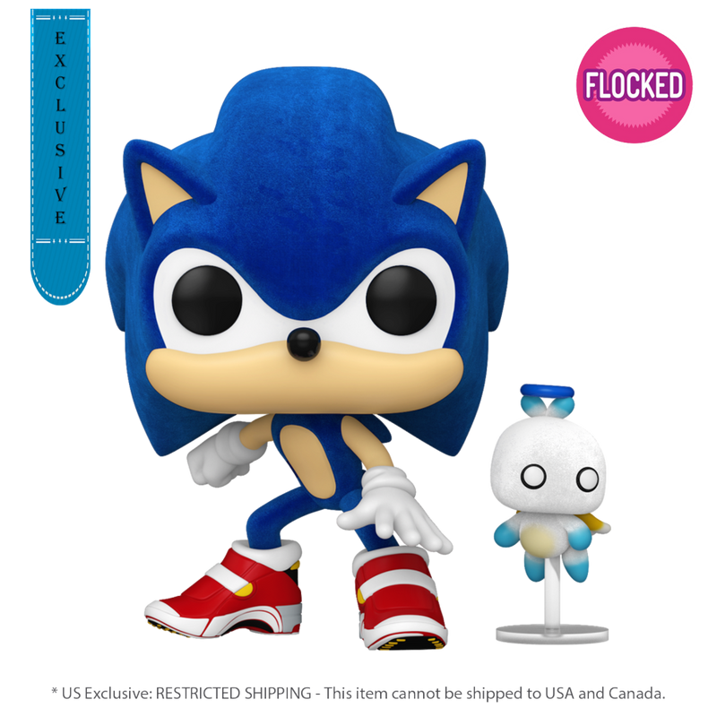 Sonic the Hedgehog - Sonic with Hero Chau Flocked US Exclusive Pop! Vinyl Figure